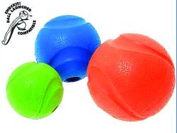 Chuckit! Fetch Ball Dog Toy