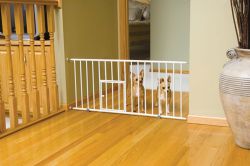 Mini Pet Gate W/door