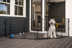 Supergate Extra Tall With Small Pet Door