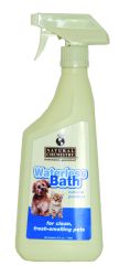 Waterless Bath