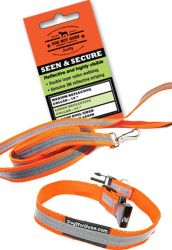 Reflective Leash