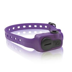Dogtra iQ Pet No Bark Collar Purple