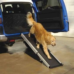 Smart Dog Ramp