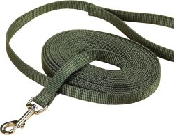 Nylon Training Lead