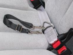 Adjustable Seat Leash With Snap