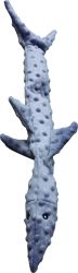 Skinneeez Extreme Triple Squeaker Shark