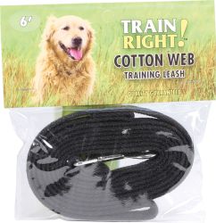 London Quick Lead & Collar Combo (Option 1: 5/16 In X 6 Ft, Option 2: Blue/green)