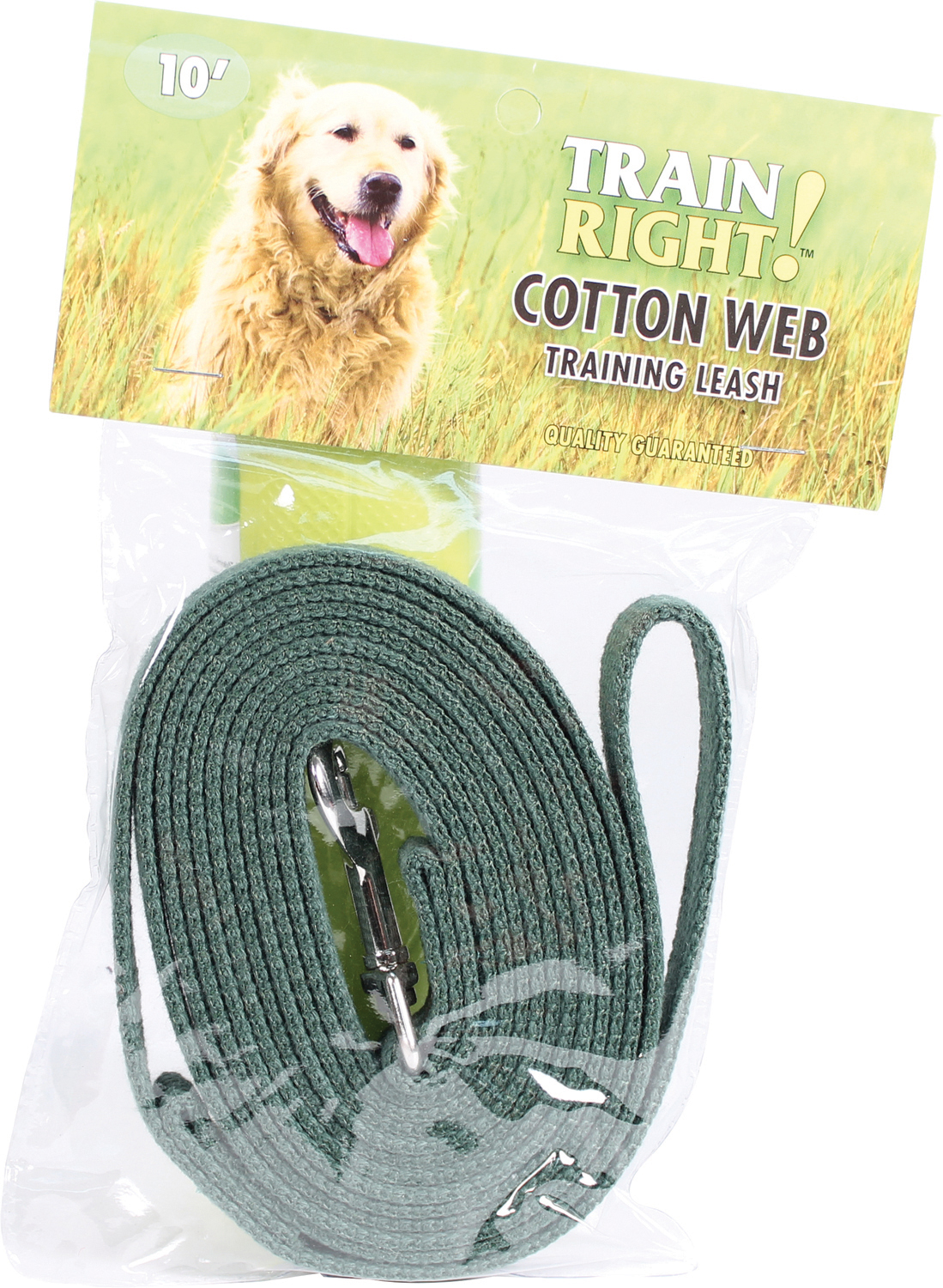 London Quick Lead & Collar Combo (Option 1: 3/8 In X 6 Ft, Option 2: Blue)