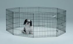 8 Panel Exercise Pen (Option 1: 24x24 In, Option 2: Black)