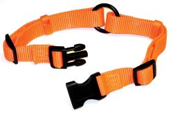 Adjustable Saferite Dog Collar (Option 1: 1 X 18-26 In, Option 2: Orange)