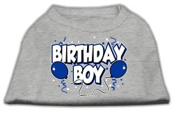 Birthday Boy Screen Print Shirts Grey (size: L (14))