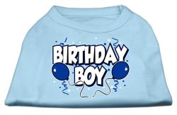Birthday Boy Screen Print Shirts Baby Blue (size: L (14))