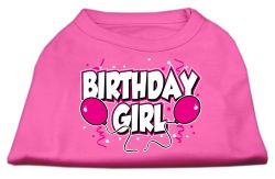 Birthday Girl Screen Print Shirts Bright Pink (size: L (14))