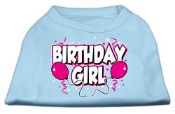 Birthday Girl Screen Print Shirts Baby Blue (size: L (14))