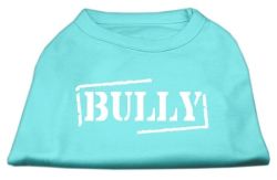 Bully Screen Printed Shirt  Aqua (size: L (14))