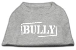 Bully Screen Printed Shirt  Grey (size: L (14))