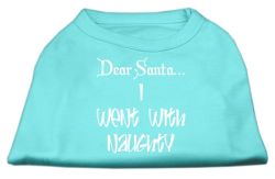 Dear Santa I Went with Naughty Screen Print Shirts Aqua (size: L (14))