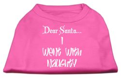 Dear Santa I Went with Naughty Screen Print Shirts Bright Pink (size: L (14))