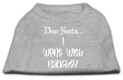 Dear Santa I Went with Naughty Screen Print Shirts Grey (size: L (14))