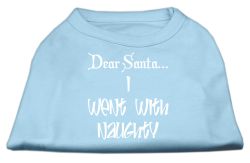 Dear Santa I Went with Naughty Screen Print Shirts Baby Blue (size: L (14))