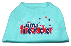 Little Firecracker Screen Print Shirts Aqua (size: L (14))