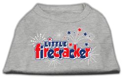 Little Firecracker Screen Print Shirts Grey (size: L (14))