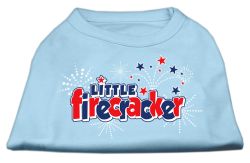 Little Firecracker Screen Print Shirts Baby Blue (size: L (14))